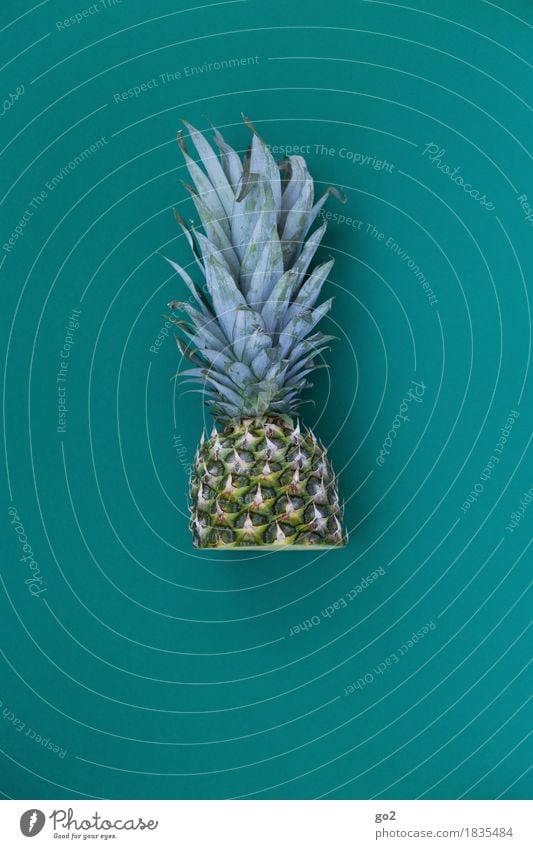 Halbe Ananas Lebensmittel Frucht Ananasblätter Ernährung Essen Bioprodukte Vegetarische Ernährung Gesunde Ernährung Gesundheit lecker grün türkis Farbfoto