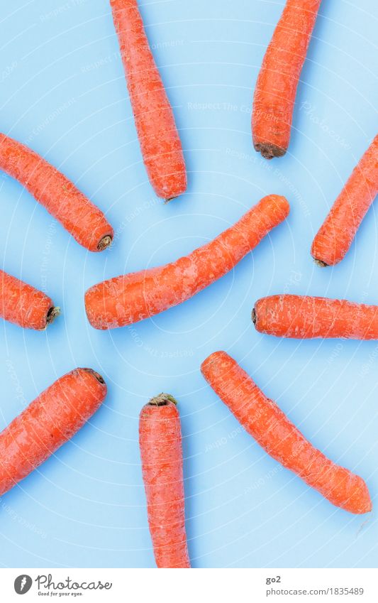 Möhren Lebensmittel Gemüse Ernährung Bioprodukte Vegetarische Ernährung Gesunde Ernährung Gesundheit lecker natürlich blau orange Farbfoto Innenaufnahme