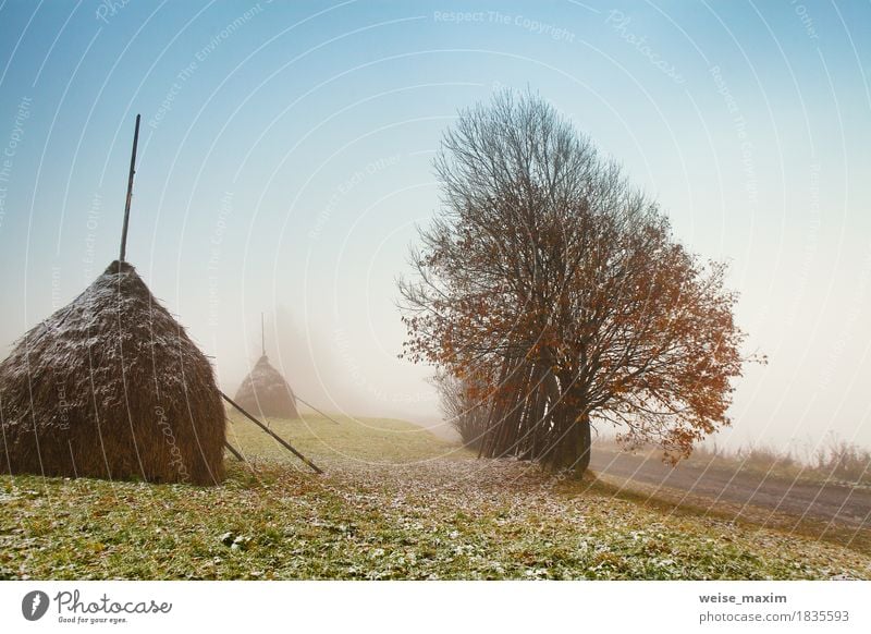 Erster Herbstschnee auf nebelhafter Straße des alpinen Berges Ferien & Urlaub & Reisen Tourismus Ausflug Abenteuer Freiheit Schnee Berge u. Gebirge Umwelt Natur