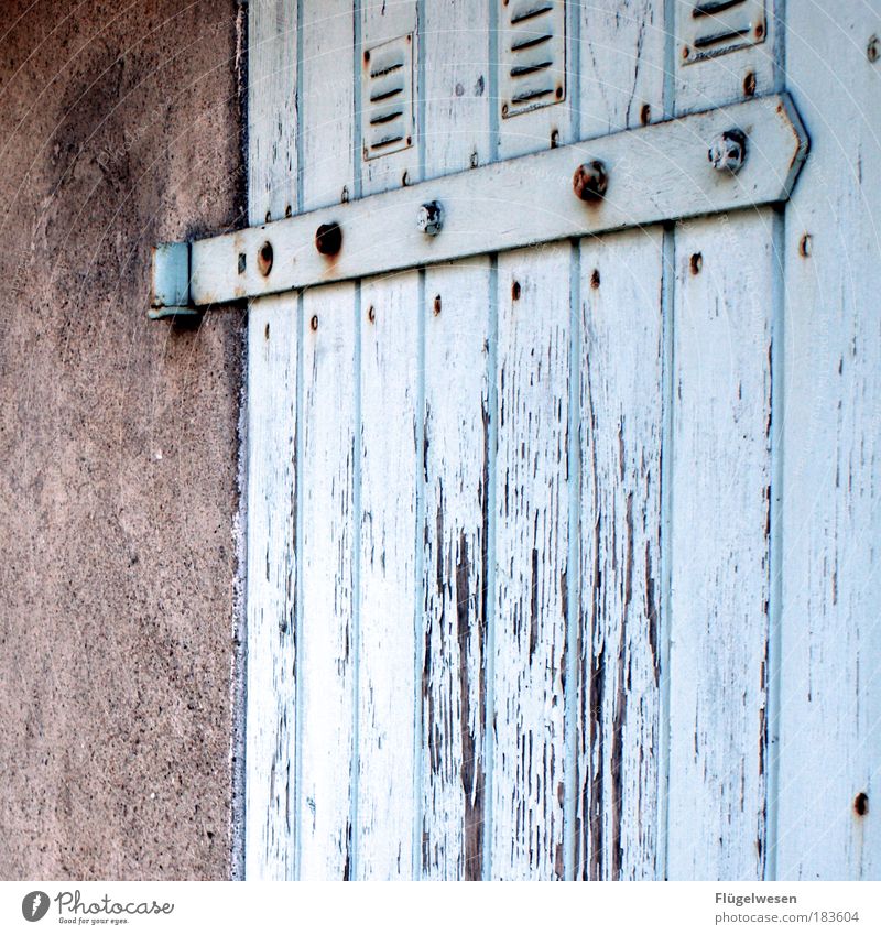 Torschlußpanik Farbfoto Außenaufnahme Tag Backstein warten einzigartig Vorfreude Wachsamkeit Hoffnung Horizont Tür Garage Scheune Wand Mauer Holztür schrauben