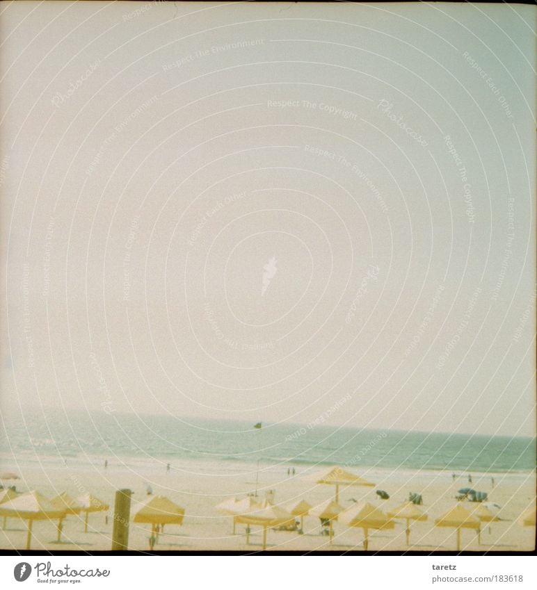 Am Ende das Meer Sommer Sommerurlaub Küste Strand kalt Horizont Sonnenschirm Portugal schlechtes Wetter Sand ruhig Zufriedenheit Farbfoto Gedeckte Farben