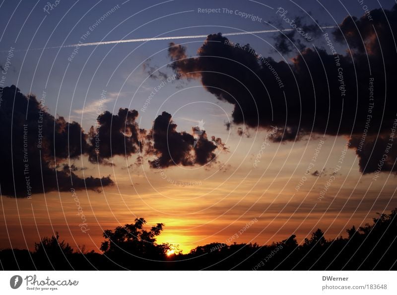 Sonnenuntergang in Brandenburg Glück Zufriedenheit Erholung ruhig Ausflug Freiheit Sommer Umwelt Natur Landschaft Himmel Wolken Nachthimmel Horizont