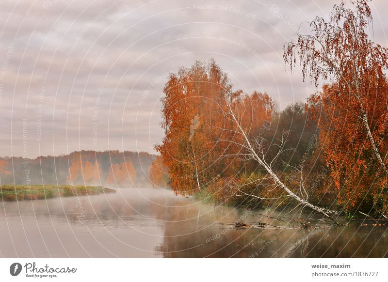 Oktobermorgen auf dem Fluss harmonisch Ferien & Urlaub & Reisen Tourismus Ausflug Abenteuer Freiheit wandern Umwelt Natur Landschaft Himmel Wolken Herbst Nebel