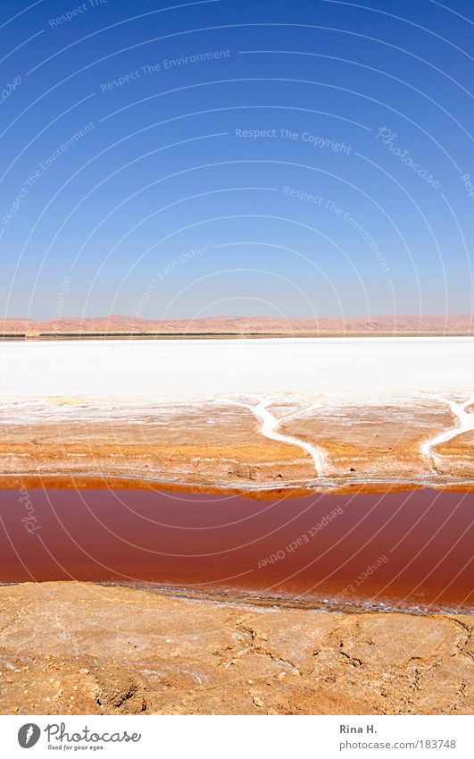 Farbrausch Natur Landschaft Urelemente Erde Sand Wasser Wolkenloser Himmel Sonnenlicht Wüste leuchten dehydrieren ästhetisch authentisch Unendlichkeit nass