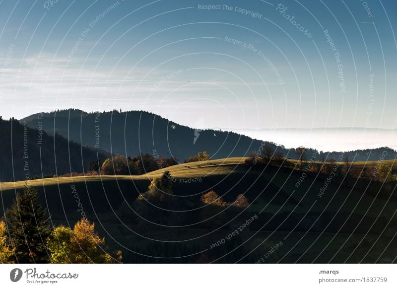 Schattig Ausflug Natur Landschaft Wolkenloser Himmel Sommer Herbst Schönes Wetter Wiese Wald Hügel Schwarzwald Erholung schön Stimmung Farbfoto Außenaufnahme