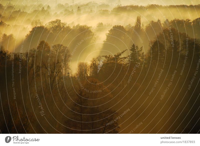 DR# Pillnitz IV Kunst ästhetisch Schloß Pillnitz Nebel Nebelschleier Nebelbank Nebelwand Nebelwald Nebelmeer Nebelstimmung Nebeldecke Nebelfeld Nebelgrenze Wald