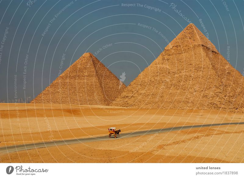 DR# altmodisch Altstadt Freizeit & Hobby Tourismus Ägypten Pyramiden Pyramiden von Gizeh Pferdekutsche 2 historisch Historische Bauten Sehenswürdigkeit