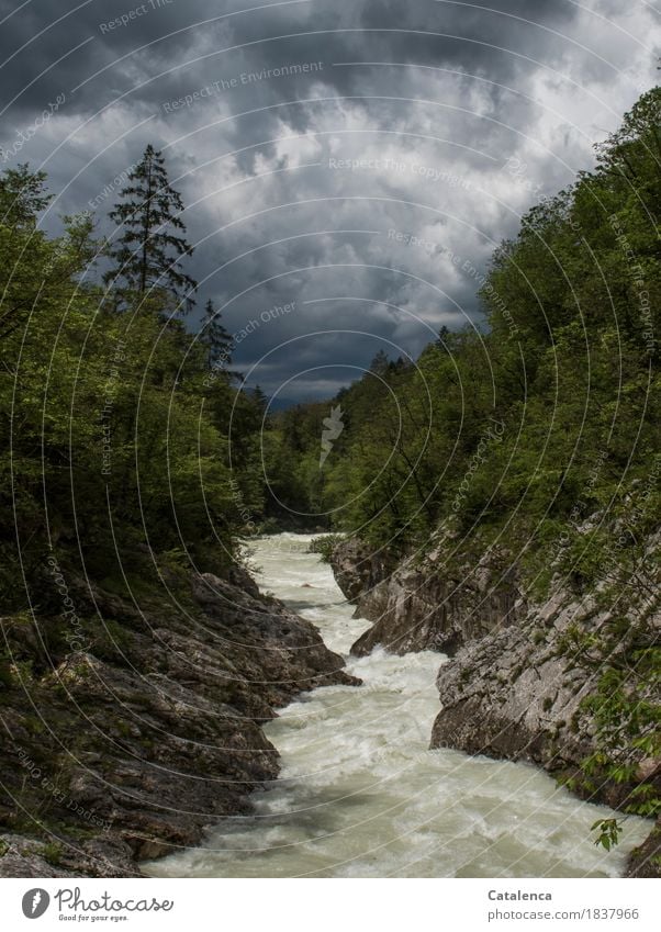 Turbulente Zeiten, Gebirgsbach bei Gewitter Freiheit Sommer Berge u. Gebirge wandern Natur Landschaft Wasser Gewitterwolken Klimawandel schlechtes Wetter