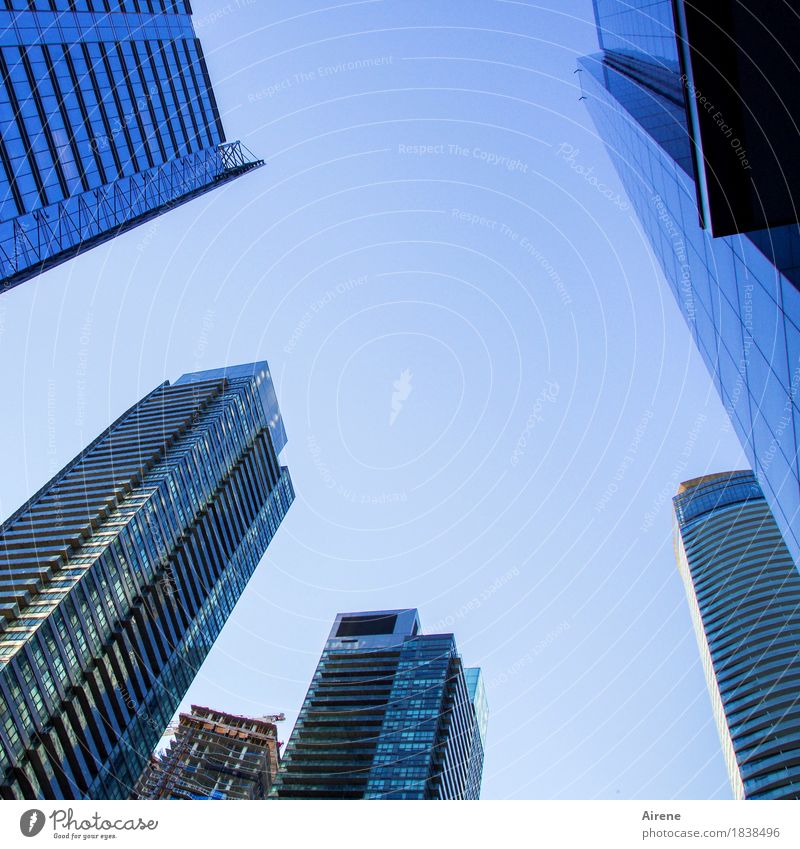 Symbole der Macht III Himmel Wolkenloser Himmel Schönes Wetter Stadt Stadtzentrum Skyline Hochhaus Fassade Beton Glas Metall Wachstum gigantisch hoch blau