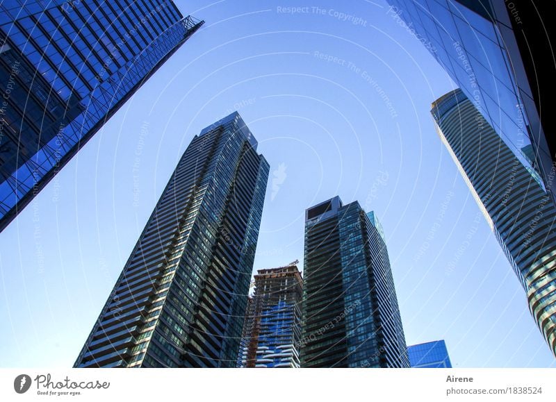 Symbole der Macht IV Himmel Wolkenloser Himmel Schönes Wetter Stadt Stadtzentrum Skyline Menschenleer Hochhaus Fassade Beton Glas Häusliches Leben trendy hoch