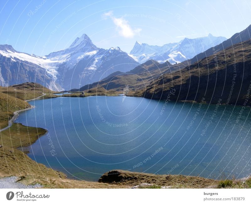 Bachalpsee Farbfoto Gedeckte Farben Außenaufnahme Menschenleer Textfreiraum Mitte Tag Licht Silhouette Sonnenlicht Totale Panorama (Aussicht) Weitwinkel Natur