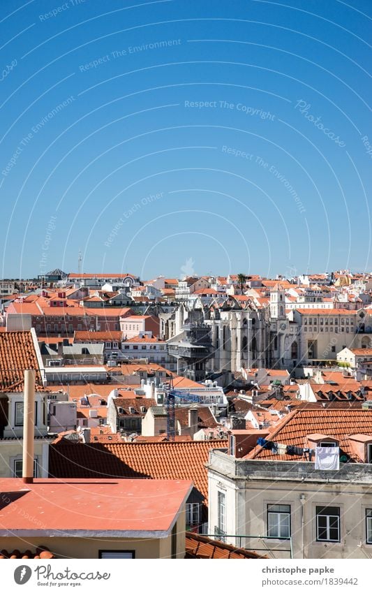 Dächermeer von Lissabon Ferien & Urlaub & Reisen Ferne Städtereise Sommer Sommerurlaub Sonne Schönes Wetter Portugal Stadt Hauptstadt Stadtzentrum Altstadt