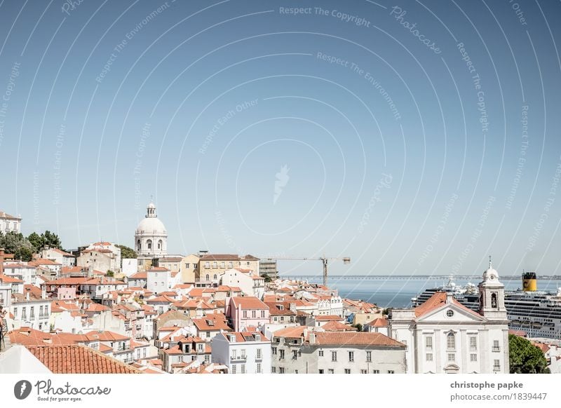 Lissabons Dächer Ferien & Urlaub & Reisen Tourismus Ausflug Städtereise Kreuzfahrt Sommer Sonne Portugal Stadt Hauptstadt Stadtzentrum Altstadt Skyline