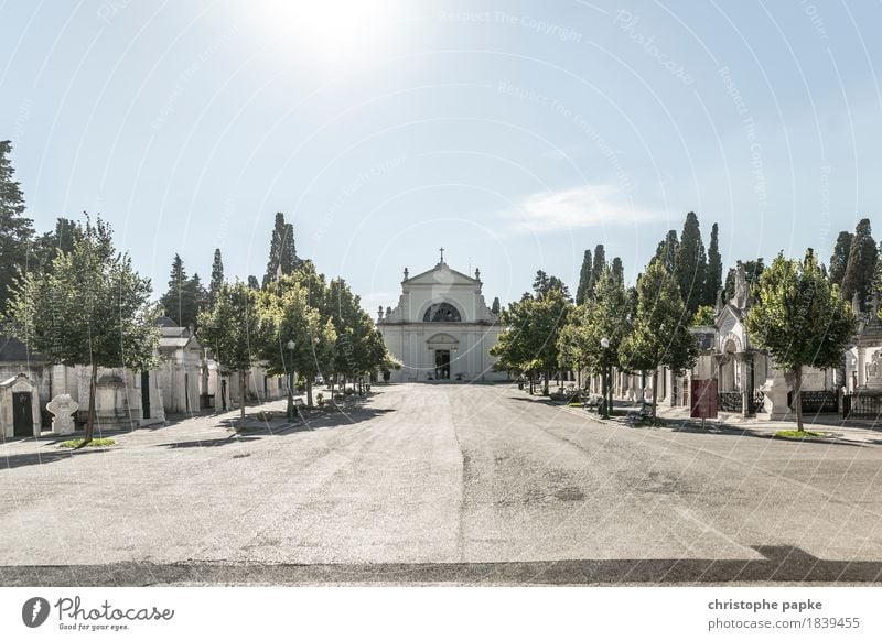 Cemitério dos Prazeres Ferien & Urlaub & Reisen Ausflug Sightseeing Städtereise Sommer Sommerurlaub Schönes Wetter Wärme Lissabon Portugal Stadt Stadtrand