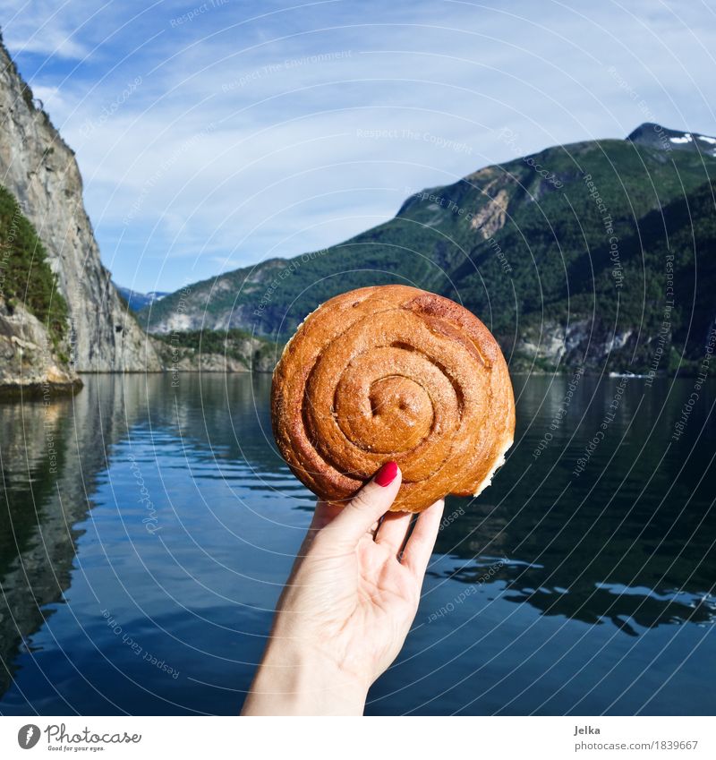 Fjord-Kanelboller Lebensmittel Teigwaren Backwaren Kuchen Dessert Zimtschnecke Kanelbullar Ernährung Frühstück Kaffeetrinken Fingerfood Ferien & Urlaub & Reisen