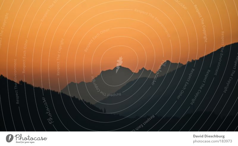 Momente der Sprachlosigkeit Farbfoto Außenaufnahme Strukturen & Formen Morgen Morgendämmerung Abend Dämmerung Licht Schatten Kontrast Silhouette