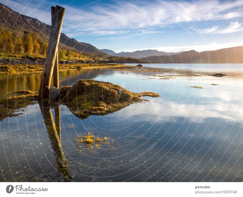 fjordisch Natur Landschaft Urelemente Wasser Himmel Sonnenaufgang Sonnenuntergang Sonnenlicht Herbst Moos Küste Bucht Fjord Stein Holz Stimmung Romantik achtsam