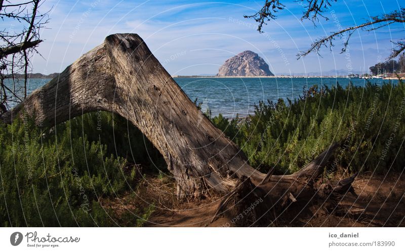 Kalifornien - Morro Bay Ferne Freiheit Sommer Strand Meer Insel Wellen Umwelt Natur Landschaft Pflanze Wasser Wolken Horizont Schönes Wetter Baum