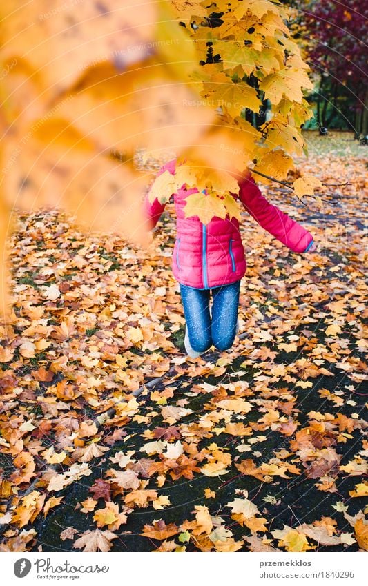 Das Mädchen springend hinter gelbe Herbstblätter in einem Park Lifestyle schön Garten Jugendliche 1 Mensch 8-13 Jahre Kind Kindheit Natur Baum Blatt Grünpflanze