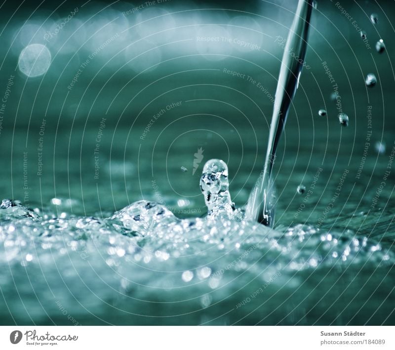 stribb strabb strull, dor Eemer is glei full Wasser Wassertropfen Regen Wellen Teich Flüssigkeit Wasserfall Wasserhahn Makroaufnahme Trinkwasser Springbrunnen