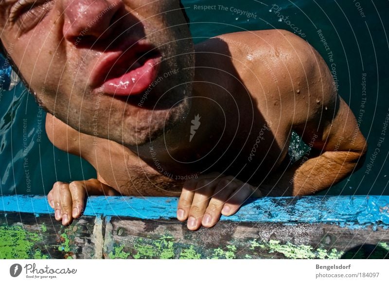 Freischwimmer Farbfoto Außenaufnahme Reflexion & Spiegelung Sonnenlicht Vogelperspektive Porträt Oberkörper Vorderansicht Blick Blick in die Kamera Zwinkern