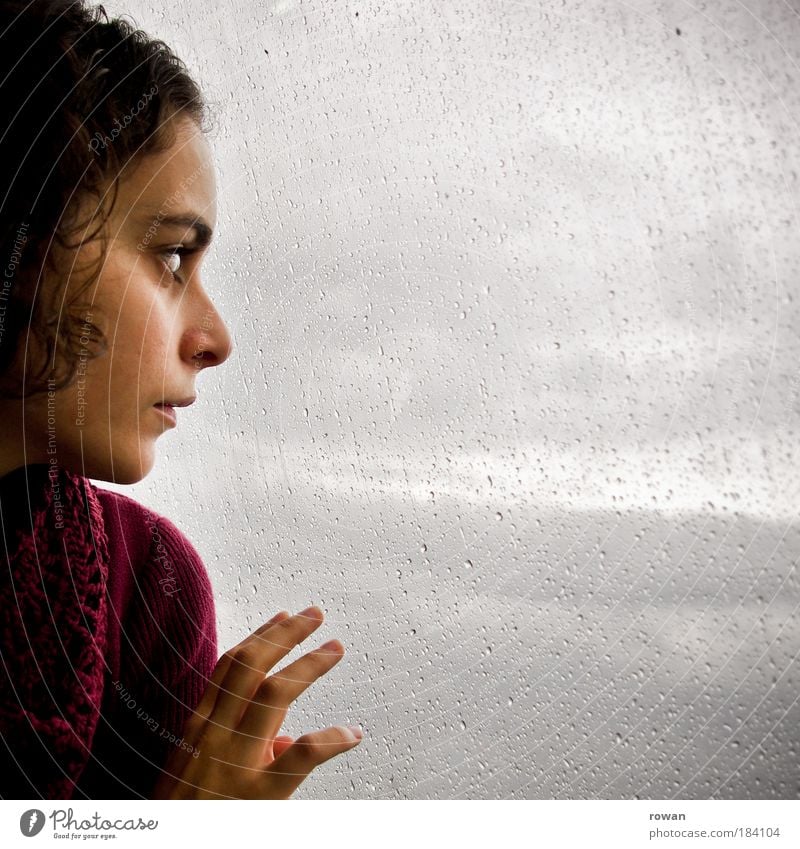 Regentag Farbfoto Gedeckte Farben Innenaufnahme Textfreiraum rechts Textfreiraum oben Textfreiraum unten Textfreiraum Mitte Tag Dämmerung Mensch feminin