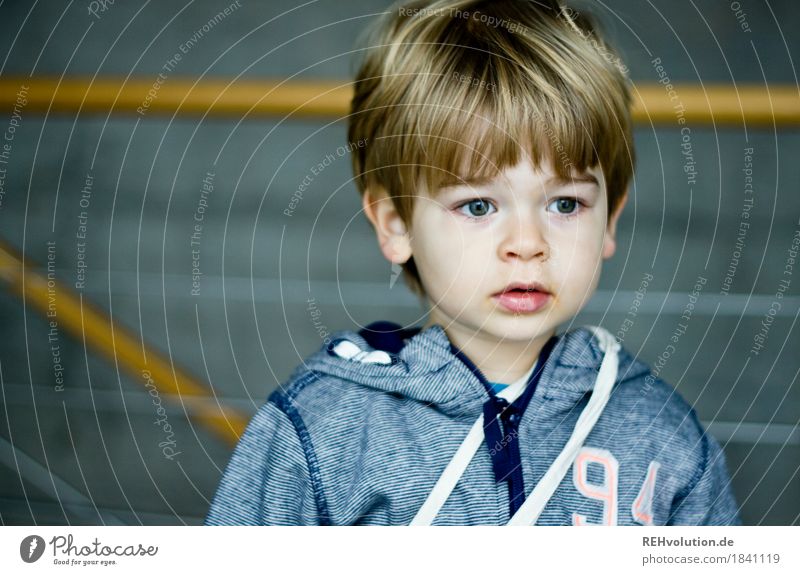 in der Hochschule Mensch maskulin Kind Kleinkind Junge Gesicht 1 1-3 Jahre Pullover Haare & Frisuren Beton beobachten authentisch klein natürlich niedlich blau