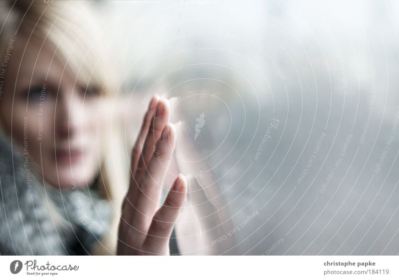 Berührend Sightseeing Mensch feminin Junge Frau Jugendliche Erwachsene Gesicht Hand Finger 1 18-30 Jahre Glas Denken träumen Traurigkeit warten Trauer