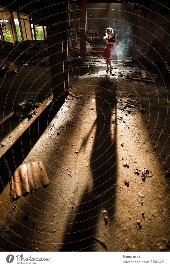 rauchmelder Farbfoto Gedeckte Farben Innenaufnahme Textfreiraum unten Tag Licht Schatten Sonnenlicht Sonnenstrahlen Gegenlicht Weitwinkel Ganzkörperaufnahme