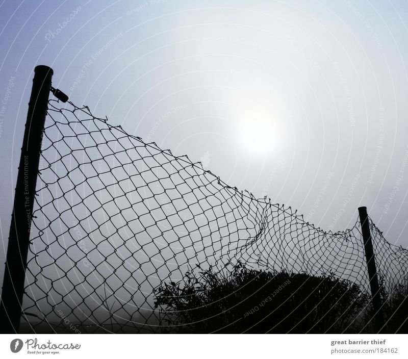 Neunter November Farbfoto Außenaufnahme Strukturen & Formen Menschenleer Tag Kontrast Sonnenlicht Sonnenstrahlen Herbst fangen frei blau Menschlichkeit