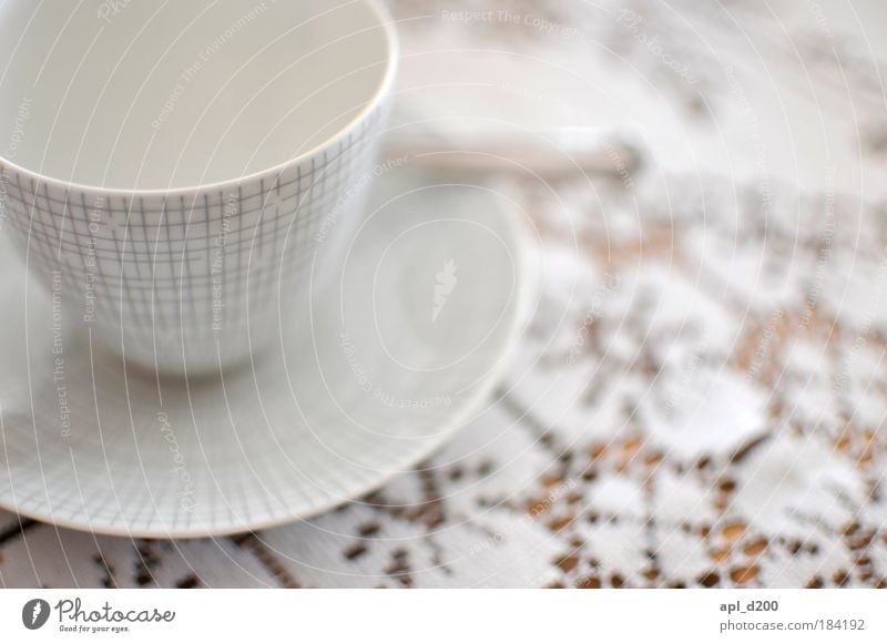 Tasse leer Farbfoto Gedeckte Farben Innenaufnahme Nahaufnahme Muster Textfreiraum rechts Tag Licht High Key Schwache Tiefenschärfe Ernährung Getränk Heißgetränk