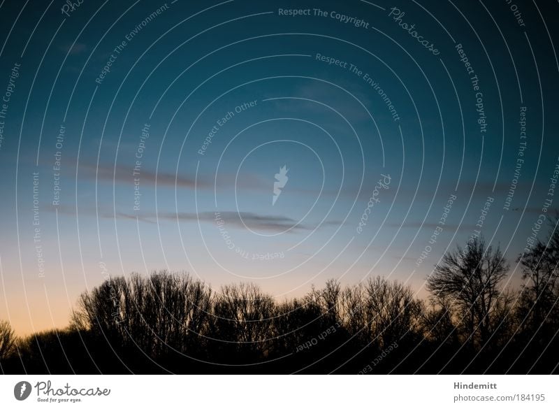 Scharfe Schiluette bei Schonnenuntergang Farbfoto Außenaufnahme Menschenleer Textfreiraum oben Dämmerung Licht Schatten Kontrast Silhouette Sonnenaufgang