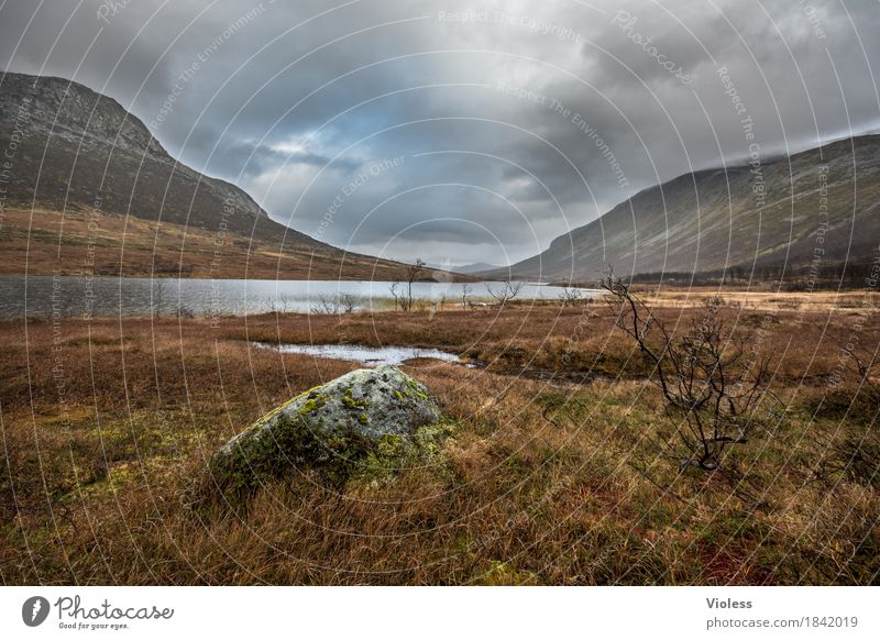 endlose Zeit...... Umwelt Natur Landschaft Himmel Gewitterwolken Herbst Wetter Unwetter Berge u. Gebirge Schlucht atmen Erholung fantastisch Norwegen Fjord