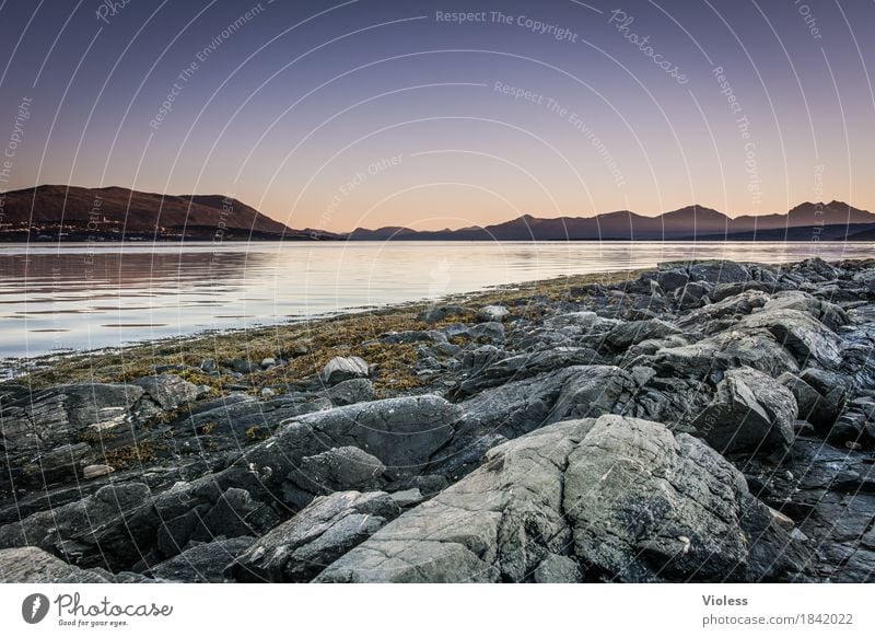 ich denke oft an... Natur Landschaft Urelemente Wasser Fjord Norwegen Menschenleer Panorama (Aussicht) Stein Felsen Küste Seeufer Flussufer