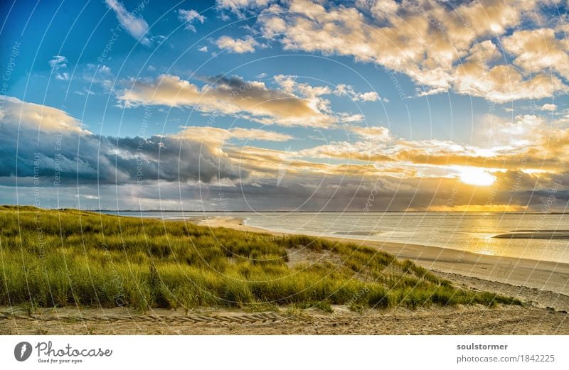 Sunset at Langeoog Natur Landschaft Pflanze Wasser Himmel Wolken Sonne Herbst Küste Seeufer Nordsee Meer Insel Zufriedenheit Lebensfreude Düne ruhig Frieden