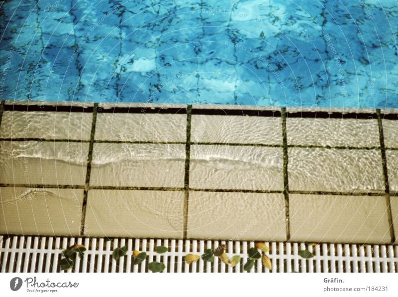 Sommerreste Farbfoto Außenaufnahme Textfreiraum oben Tag Freizeit & Hobby Wellen Schwimmbad Freibad Sportstätten Wasser Wassertropfen Blatt Menschenleer nass