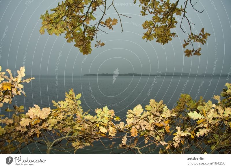 Neu Reddevitz Wasser Meer Ostsee Küste Ferien & Urlaub & Reisen Freizeit & Hobby Mecklenburg-Vorpommern Insel Ferne Freiheit Horizont Sehnsucht Perspektive