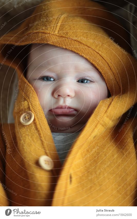 was willst du denn feminin Baby Schwester Kindheit Kopf 1 Mensch 0-12 Monate Arbeitsanzug Schurwolle Holz Knöpfe Mütze liegen Blick kuschlig klein niedlich gelb