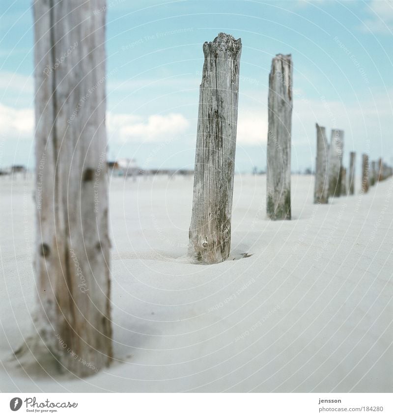 1862247 Ferien & Urlaub & Reisen Ausflug Sommer Strand Umwelt Natur Sand Himmel Nordsee Erholung Ferne St. Peter-Ording Holz Holzpfahl Farbfoto Gedeckte Farben