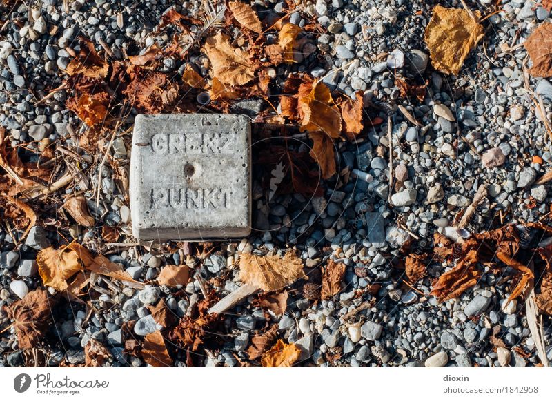 GRENZ PUNKT Herbst Blatt Stein Grenze Grenzgebiet Grenzpunkt Grenzstein Politik & Staat Farbfoto Außenaufnahme Menschenleer Textfreiraum rechts Tag Licht