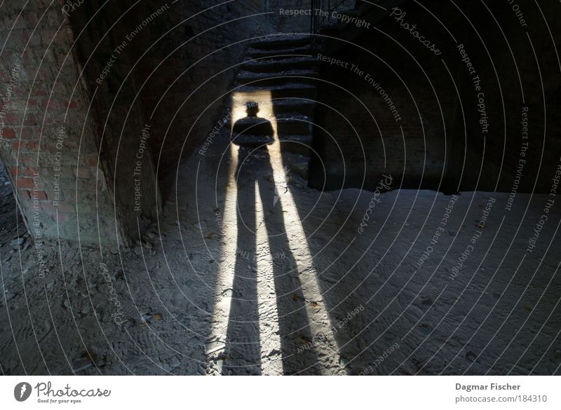 It's me! Mensch maskulin androgyn Mann Erwachsene 1 Menschenleer Haus Industrieanlage Burg oder Schloss Ruine Mauer Wand Treppe beobachten entdecken Blick