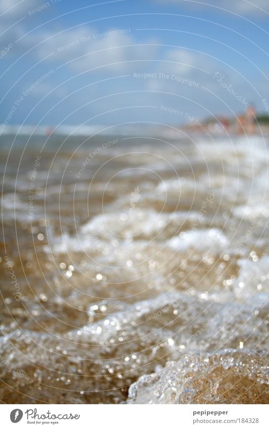 Fischperspektive Farbfoto Außenaufnahme Nahaufnahme Menschenleer Tag Sonnenlicht Schwache Tiefenschärfe Froschperspektive Angeln Ferien & Urlaub & Reisen Sommer