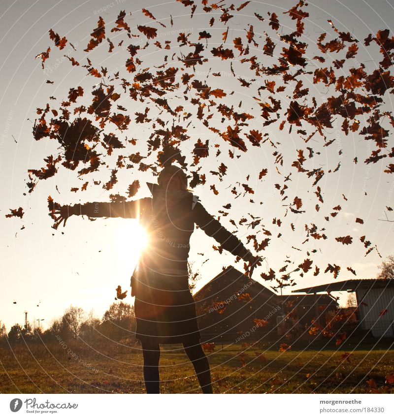 ich liebe den herbst! Farbfoto Außenaufnahme Textfreiraum oben Tag Sonnenlicht Sonnenstrahlen Zentralperspektive Ganzkörperaufnahme Blick in die Kamera Mensch