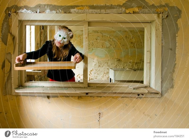 küchendienst Farbfoto Gedeckte Farben Innenaufnahme Tag Tierporträt Oberkörper Vorderansicht Blick in die Kamera Blick nach vorn Mensch maskulin feminin Frau