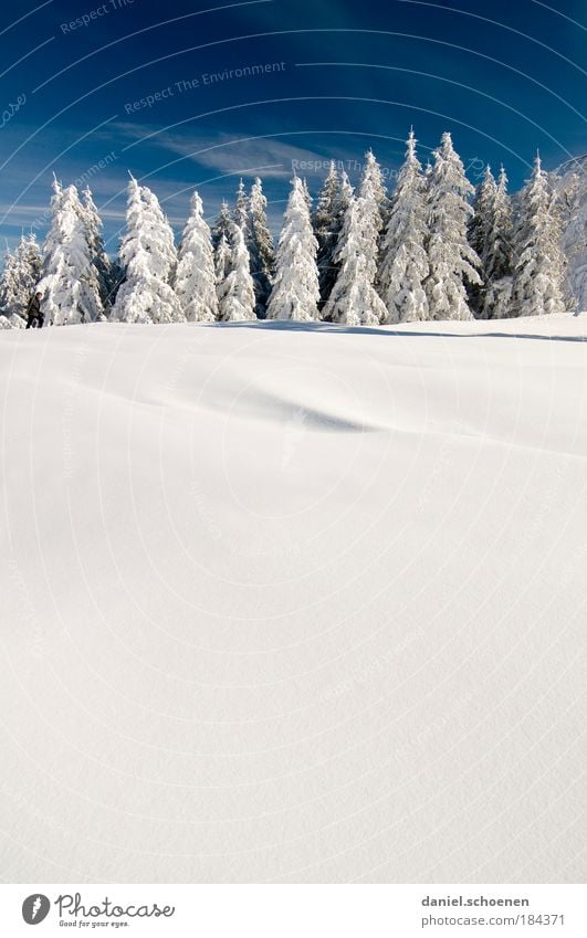 blau weiß hochkant Textfreiraum oben Textfreiraum unten Textfreiraum Mitte Ferien & Urlaub & Reisen Tourismus Winter Schnee Winterurlaub Schönes Wetter Eis