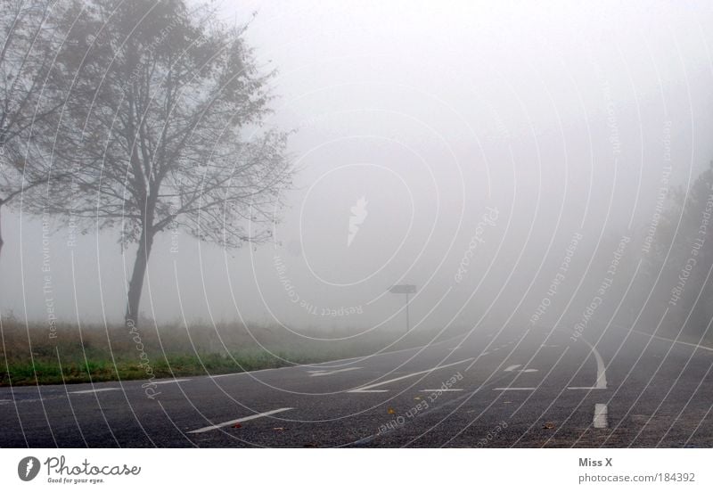 Vorsicht Frühnebel Umwelt Natur Luft Wassertropfen Himmel Herbst Klima Wetter schlechtes Wetter Nebel Baum Feld Verkehr Verkehrswege Straßenverkehr Autofahren