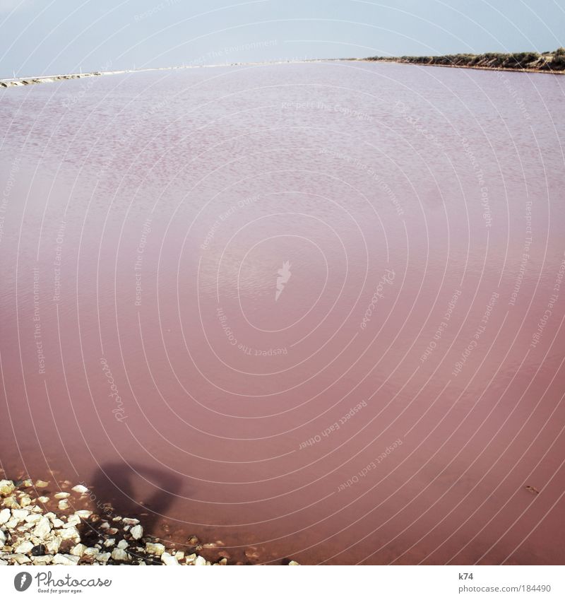 keep it unreal Farbfoto Außenaufnahme Tag Wasser Himmel Horizont Meer Teich See träumen fantastisch weich blau rosa außergewöhnlich