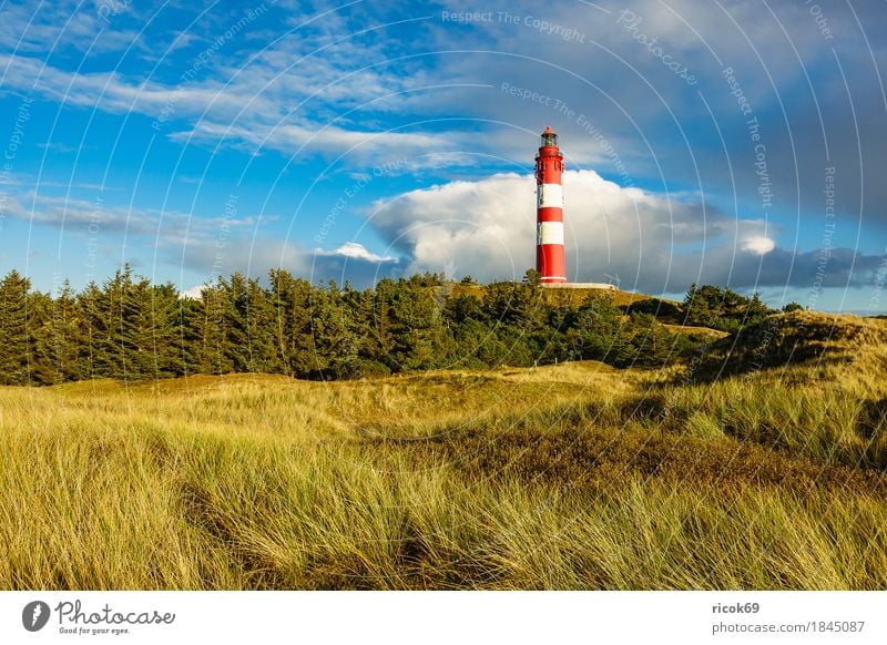 Leuchtturm in Wittdün auf der Insel Amrum Erholung Ferien & Urlaub & Reisen Tourismus Natur Landschaft Wolken Herbst Baum Wald Küste Nordsee Architektur