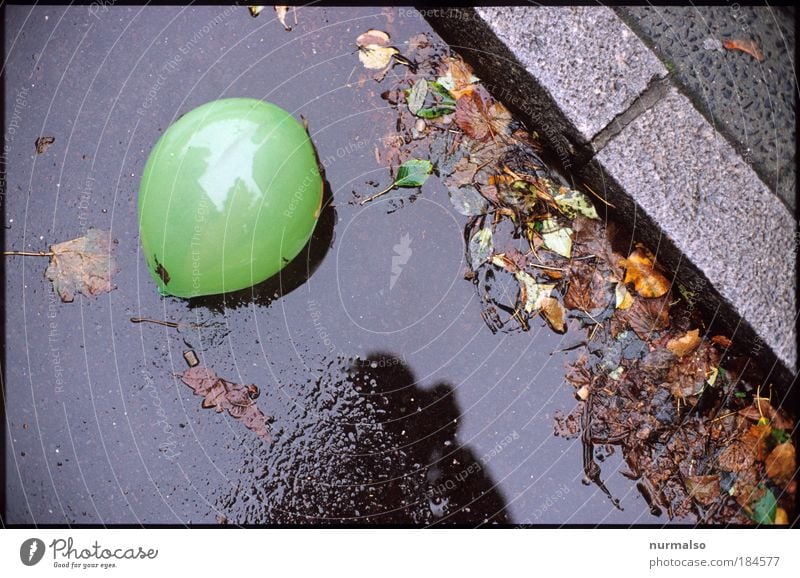 Einsam 3 Farbfoto Morgen Glück schön Freizeit & Hobby Kunst Umwelt Herbst schlechtes Wetter Regen Blatt Verkehrswege Straße Straßenkreuzung Rinnstein