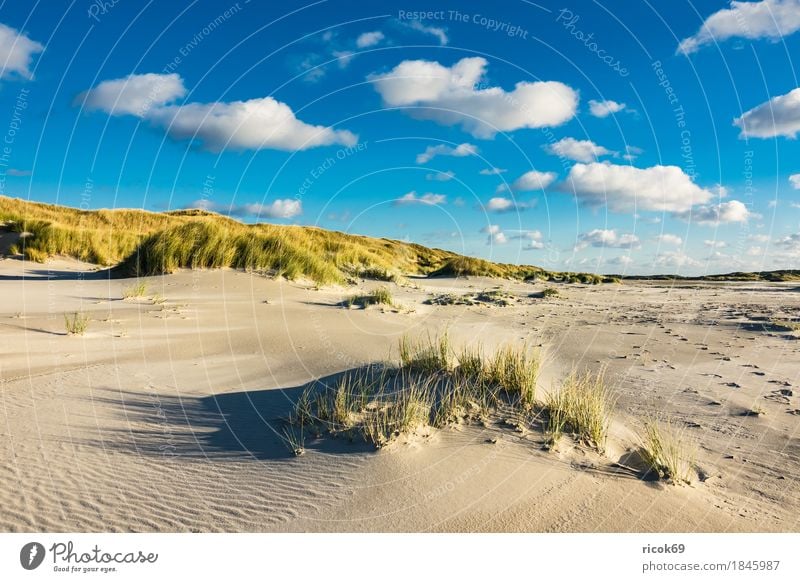 Landschaft mit Dünen auf der Insel Amrum Erholung Ferien & Urlaub & Reisen Tourismus Strand Meer Natur Sand Wolken Herbst Küste Nordsee blau gelb